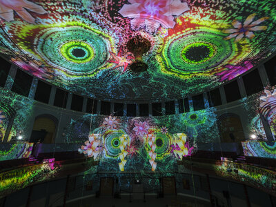 Enlightenment_Leeds_Fever_PROJEKTIL (6)