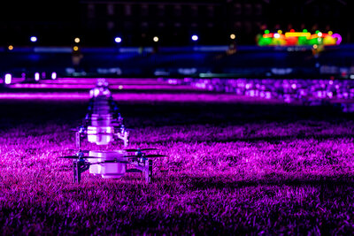 WILD_The Drone Light Show (1)