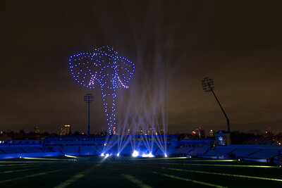 Wild @ Edgbaston Ground 2025-6.JPG