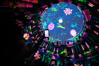 Enlightenment_Fever (4)