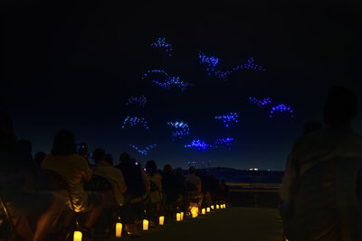 DroneArt Show_Credit to Fever (3)