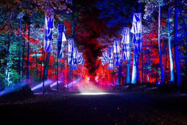HPFFE_Triwizard Walkway