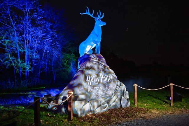 HPFFE_Stag on Rock