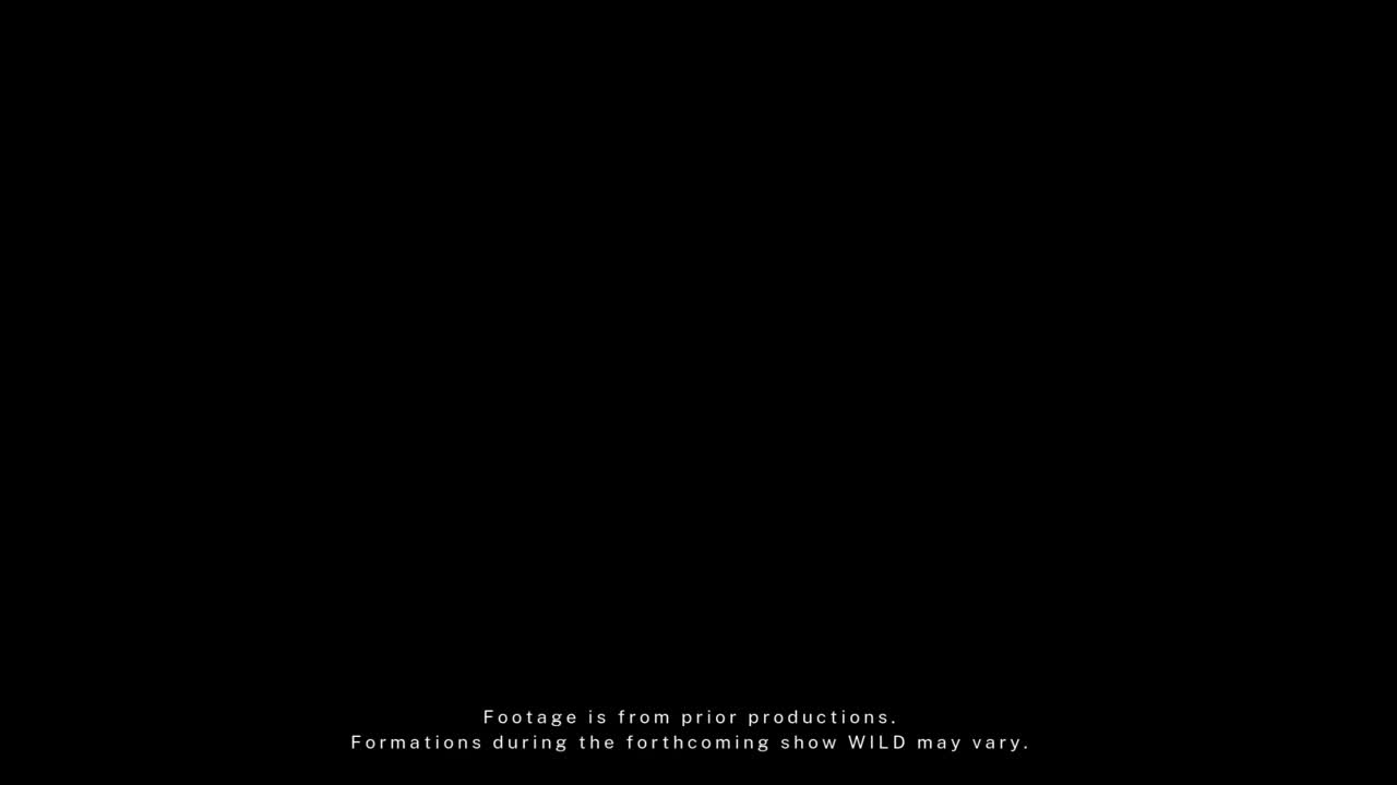 WILD_The Drone Light Show_Trailer.mp4