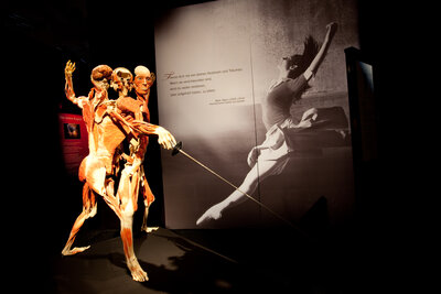 BODY WORLDS 9