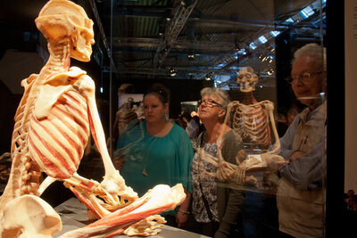 BODY WORLDS 5