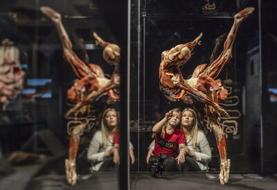 BODY WORLDS 3