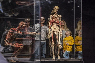 BODY WORLDS 2