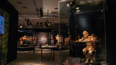 BODY WORLDS 14