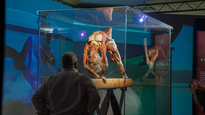 BODY WORLDS 12