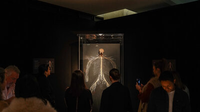 BODY WORLDS 15