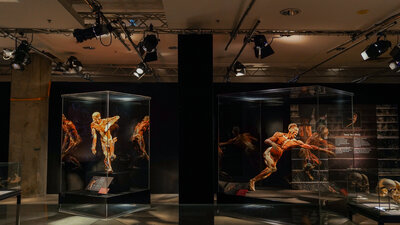 BODY WORLDS 17