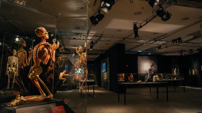 BODY WORLDS 16