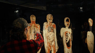 BODY WORLDS 18