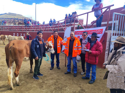 2025-10-18 Entrega de ganado Fleckvieh en Tuntuma (4).jpeg