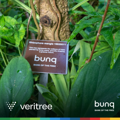  bunq Veritree Partnership - Square 02