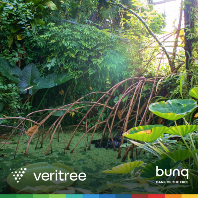 bunq Veritree Partnership - Square 01