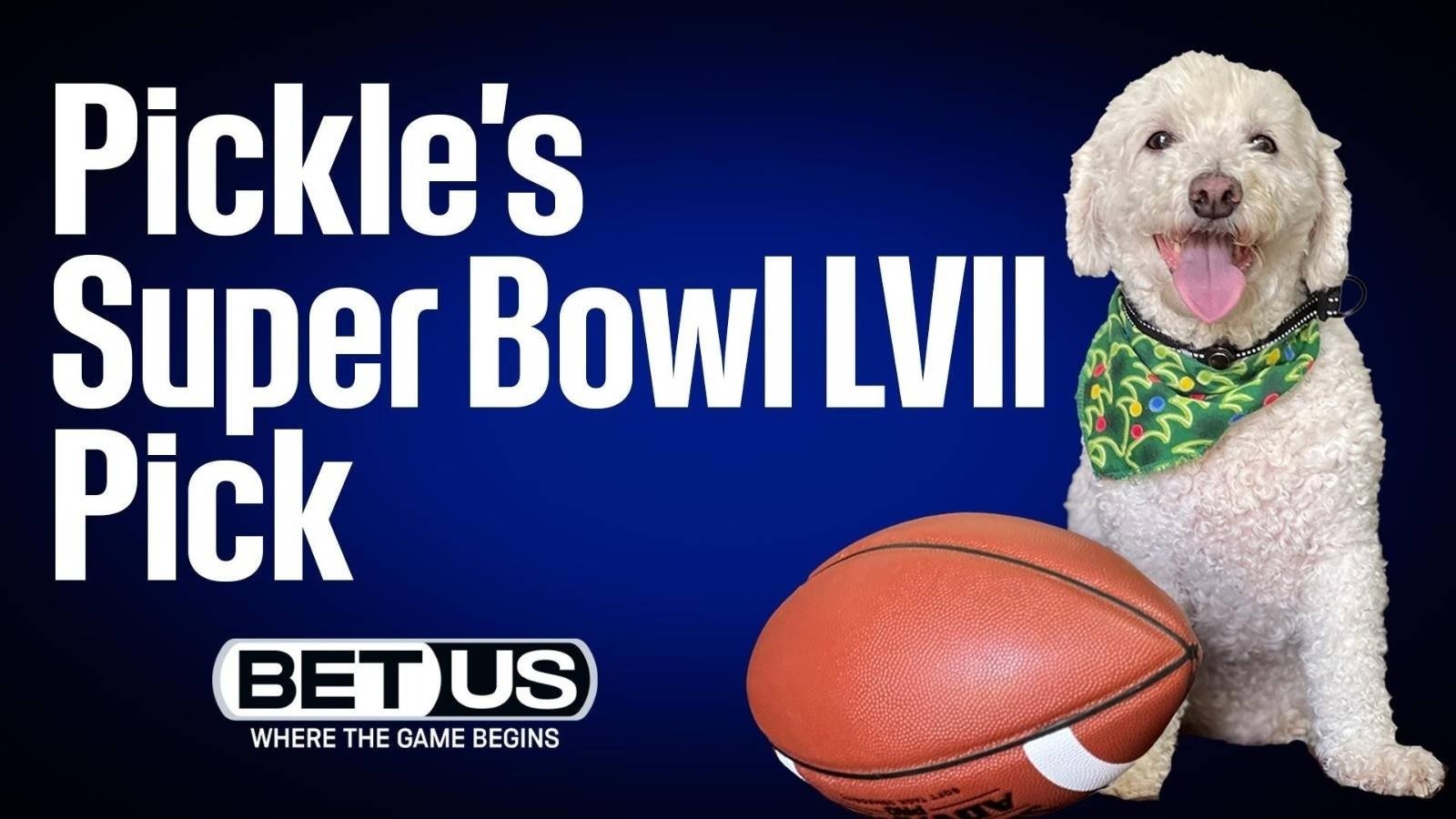 Virtual event Pickle Fortune Picks Super Bowl Winner LIVE Press Only