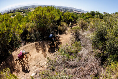 642000-SHIMANO_Trail Born_2026_02-42e4fd-original-1769495059.jpg