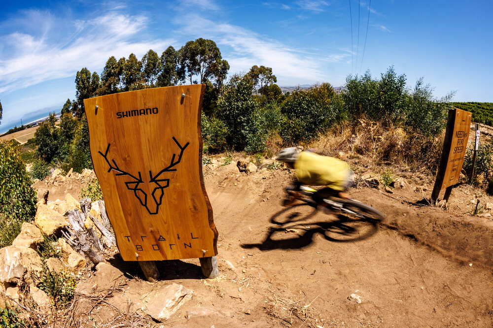 642008-SHIMANO_Trail Born_2026_01-e659d0-original-1769496682.jpg