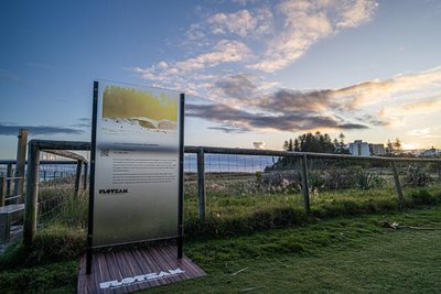 Coolangatta Beach Installation with Tony Harrington