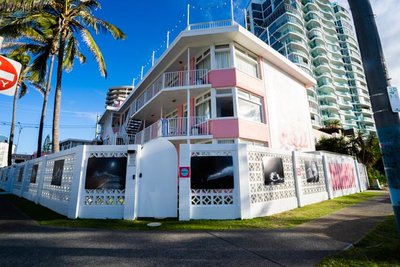 Pink Hotel:Trent Mitchel