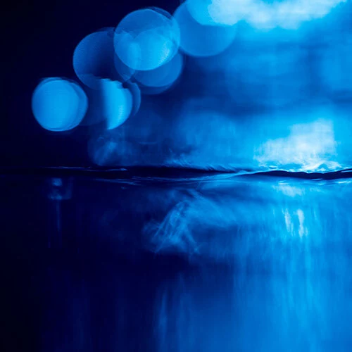 SL201_4137_TED_GRAMBEAU_100 SMALL