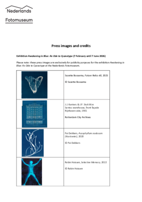 Credits media kit-Awakening in Blue