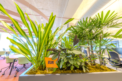 If you look closely, currencies are tucked away throughout our office space