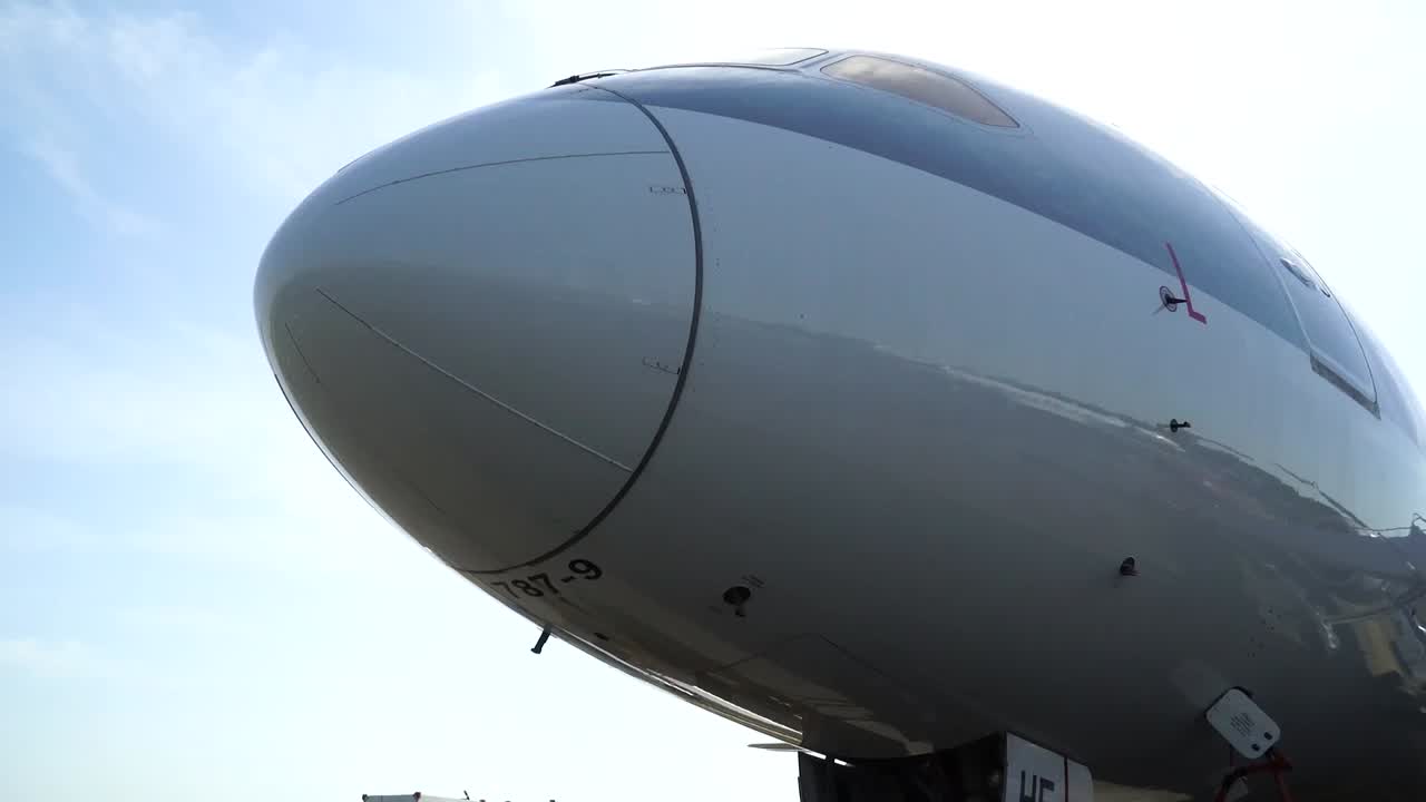 File Video of QR B787.mp4