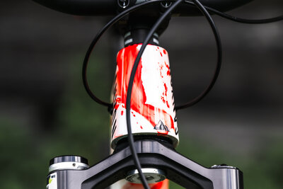 Canyon_Melamed_Worlds_Bike-1261.JPG