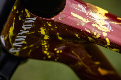 Thibaut Francois' Lux World Cup CFR.jpg