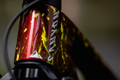 Canyon-XC-World-Champs-Bikes-RB-14