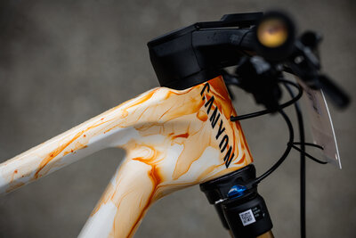 Alpecin-Bikes--Crans-Montana-RB-1.jpg