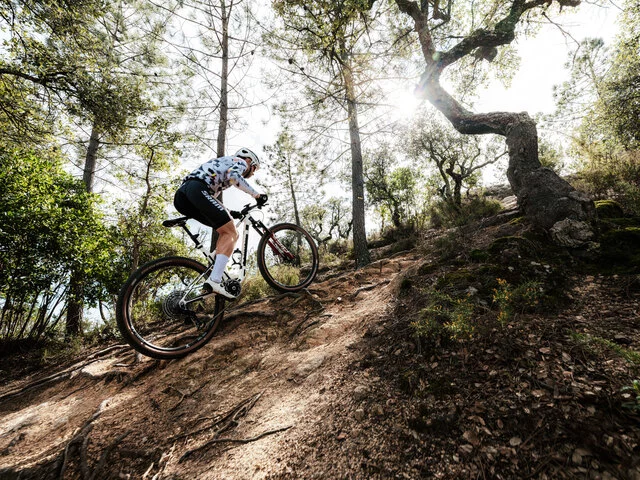 2026_ACT_Lux-WC_x_Prototype - Teaser bike 4409-4410_x_ALL (24)-as_jpg