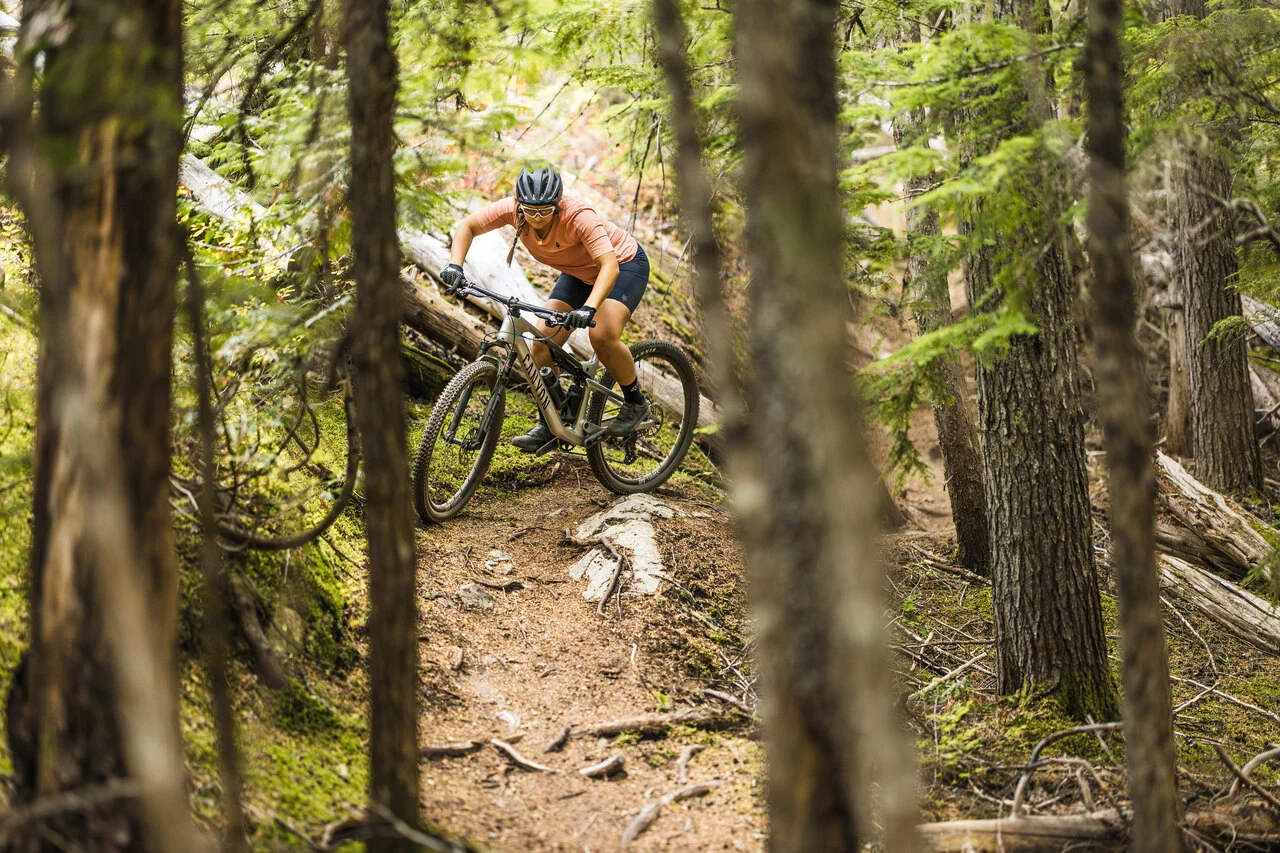 Lux Trail CF 9, Lord of the Squirrels Trail in Whistler-as_jpg (3).jpg