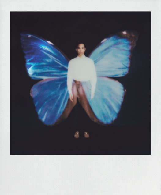 Polaroid Image by Harriet Browse