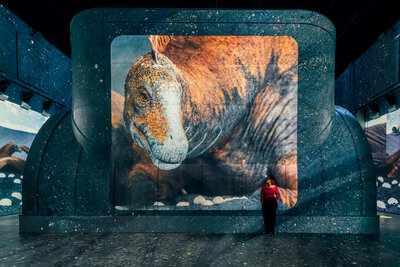 Fabrique_des_lumières_Dinos_Final-33 (1)