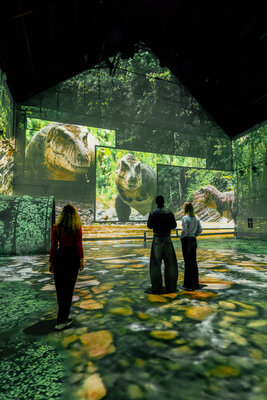 Fabrique_des_lumières_Dinos_Final-05