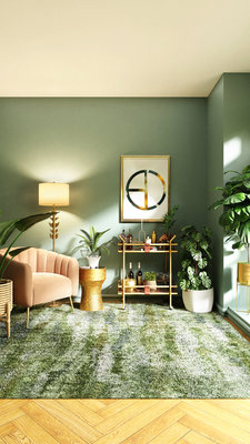 spacejoy-TKFskJy8PQ8-unsplash (1) copy 2