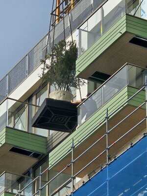 The Urban WOods Delft