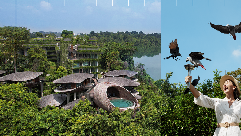 Discover 100 Journeys_Mandai Rainforest Resort by Banyan Tree.png