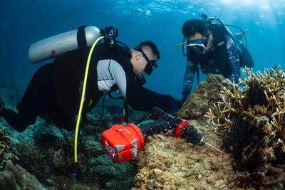 Coral Reef Restoration Project, China.jpg