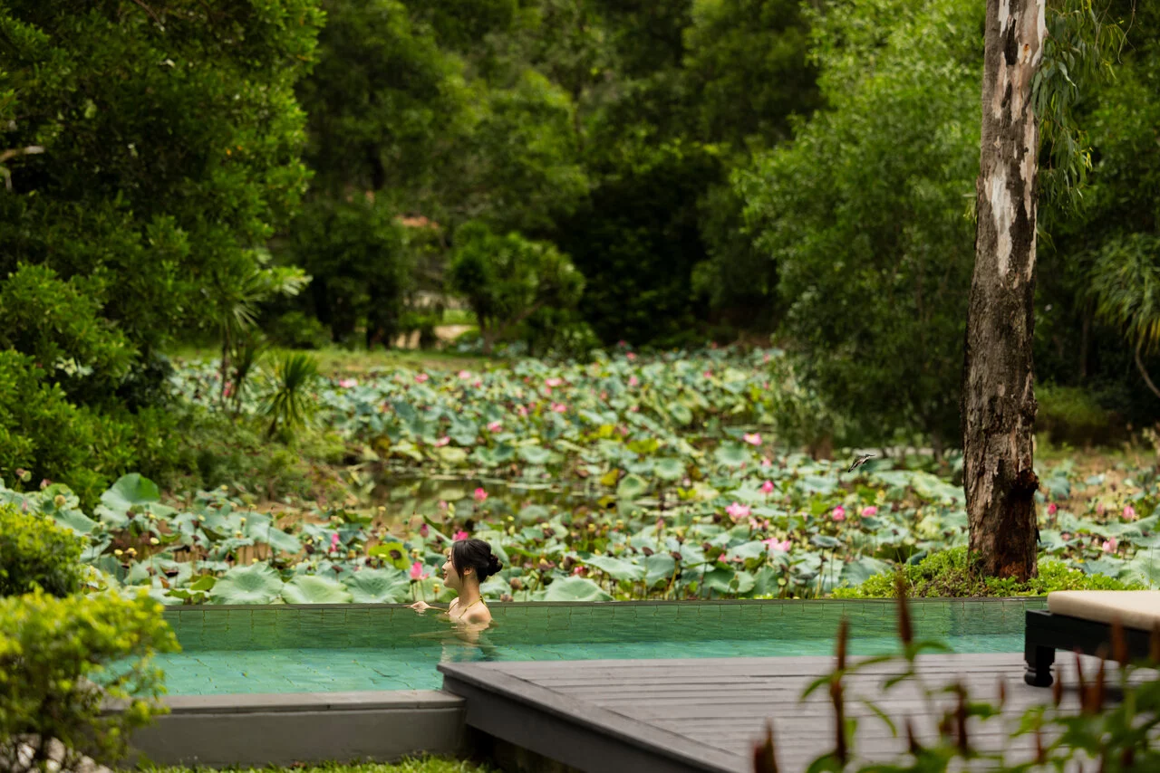 Banyan Tree and Angsana Lang Co - destination (lotus season).jpg