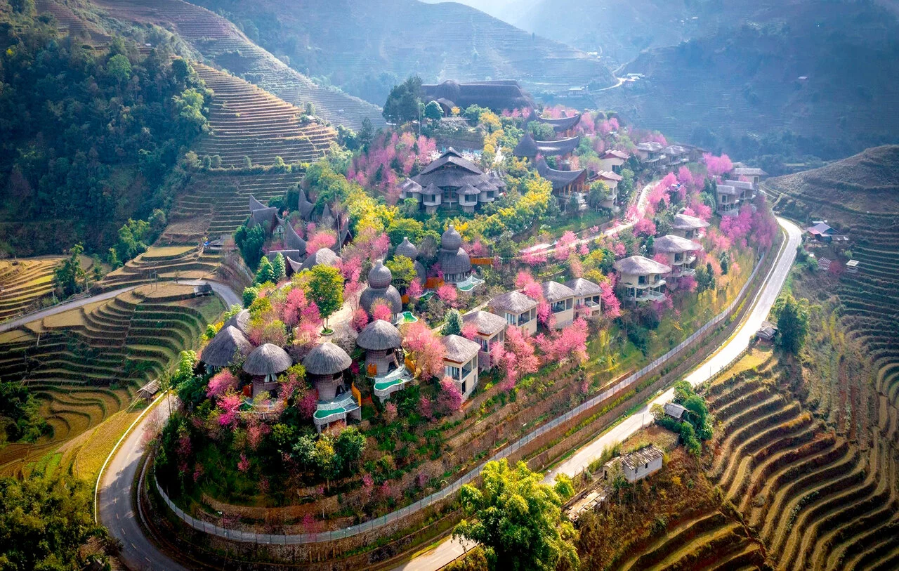 Garrya Mu Cang Chai - destination (To-Day Flowers season).jpg