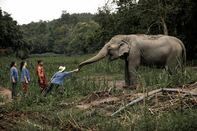 Anantara Golden Triangle Elephant Camp & Resort_World Elephant Day.JPG