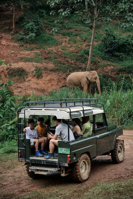 Anantara Golden Triangle Elephant Camp & Resort_World Elephant Day.JPG