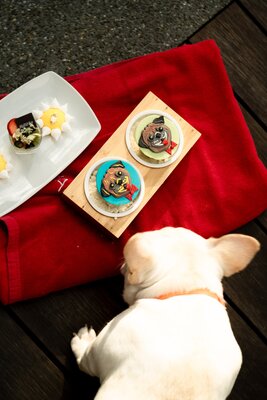 Avani+ Khao Lak Resort_ International Dog Day 2.jpg