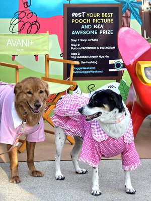 Avani+ Hua Hin Resort_Dog Friendly Stay.jpg