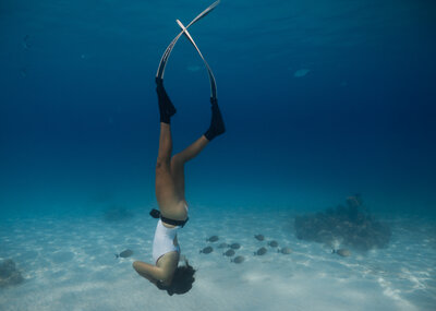 Sophie Walsh_Vertical Dive_Credit - Sophie Walsh.JPG